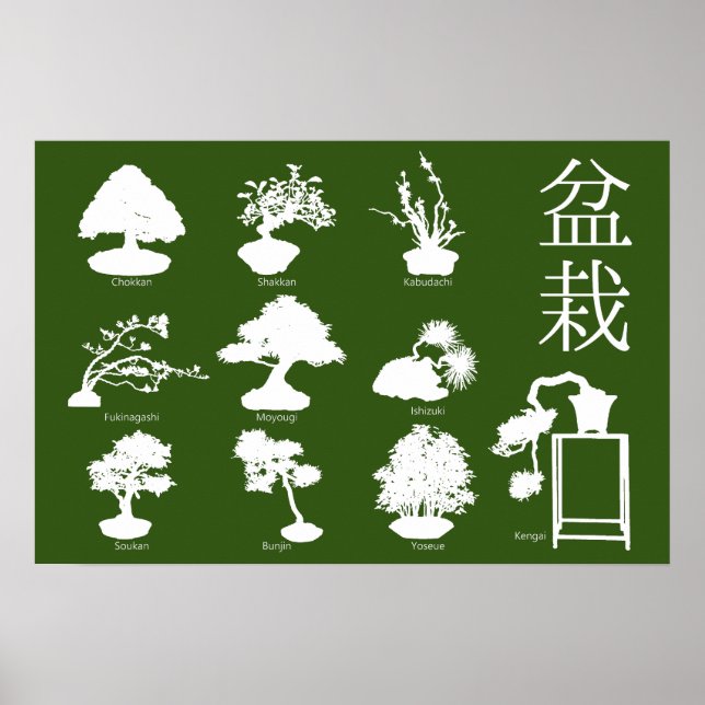 Bonsai Tree Basic Styles 10 Poster (Vorne)