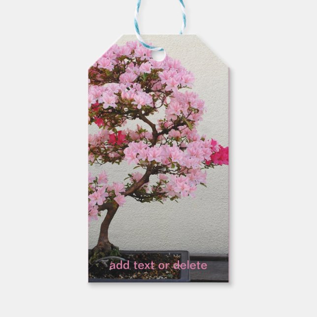 Bonsai Tree Geschenkanhänger (Vorderseite)