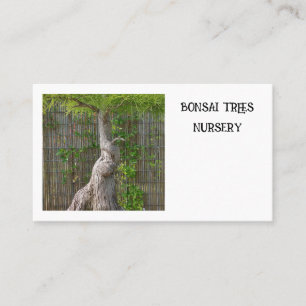 Bonsai Tree Visitenkarte