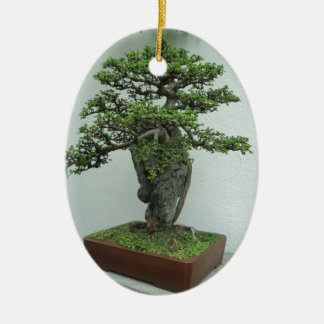 Bonsais Keramik Ornament