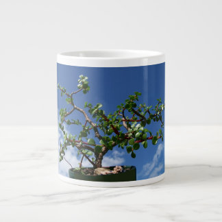 Bonsais portulacaria afra Baum 1 Jumbo-Tasse