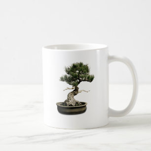 Bonsais Tasse