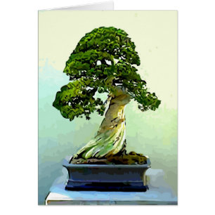 Bonsais-Zypresse-Baum