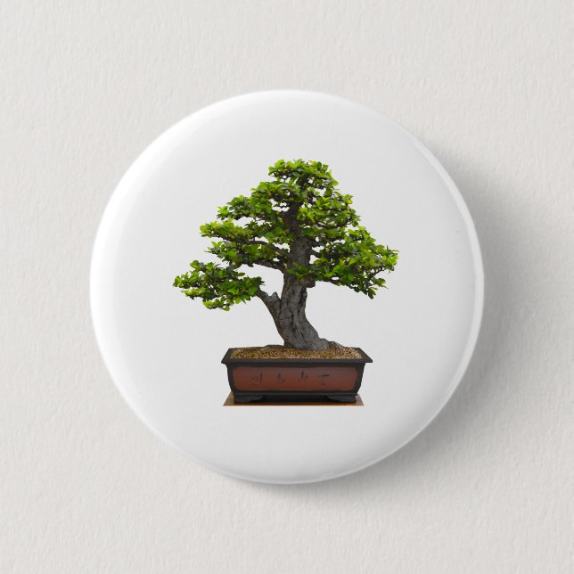 Bonsaisbaum Button (Vorderseite)