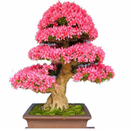 Bonsay Rosa Freistehende Fotoskulptur