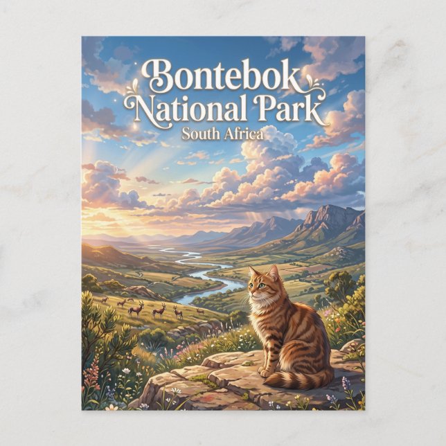 Bontebok-Nationalpark Südafrika Postkarte (Vorderseite)