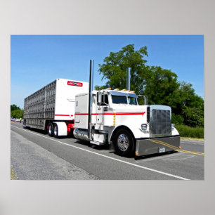 Bontragers 379 Plakat