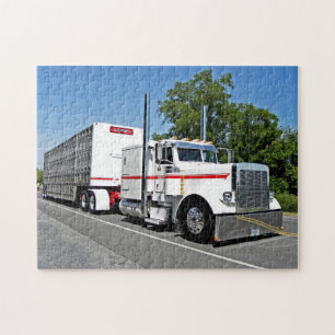 Bontragers 379 Puzzlespiel Puzzle