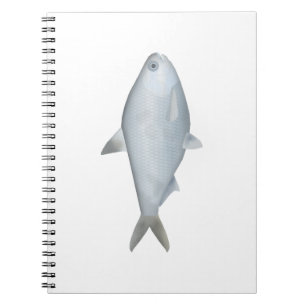 Bony Bream Notizblock