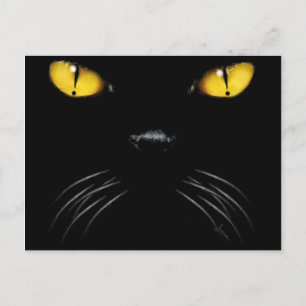 Boo Blank Postcard Postkarte