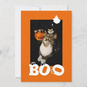 Boo Halloween Cat Ghost Spider Eyeballs Foto Feiertagskarte