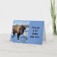 **BOO HOO-VERMISST SIE**