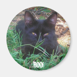 BOO! SCHWARZE KITTENTSCHEIDUNG MAGNET