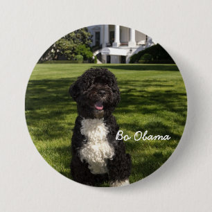 BoObama Button