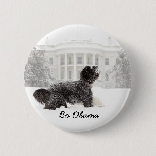 BoObama Button