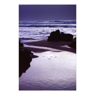 Boobys Bay Fotodruck
