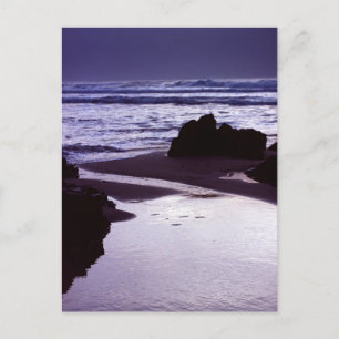 Boobys Bay Postkarte