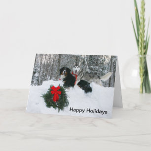 Boof und Molly in einer Snowbank Happy Holidays Ca Feiertagskarte