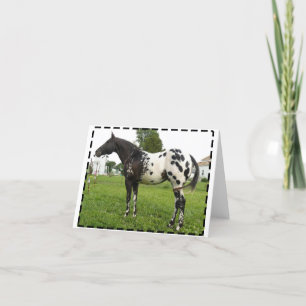 BOOGIE-BIENEN-JET-MITTEILUNGSKARTEN KARTE