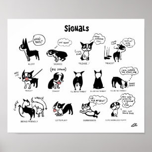 Boogie Signale von Lili Chin Poster