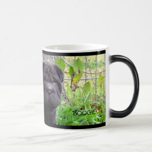 Boogie-Tasse Verwandlungstasse