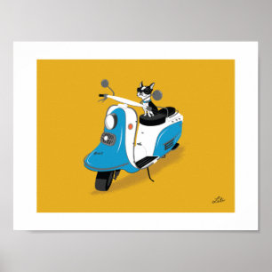 Boogie über Fuji Rabbit Poster