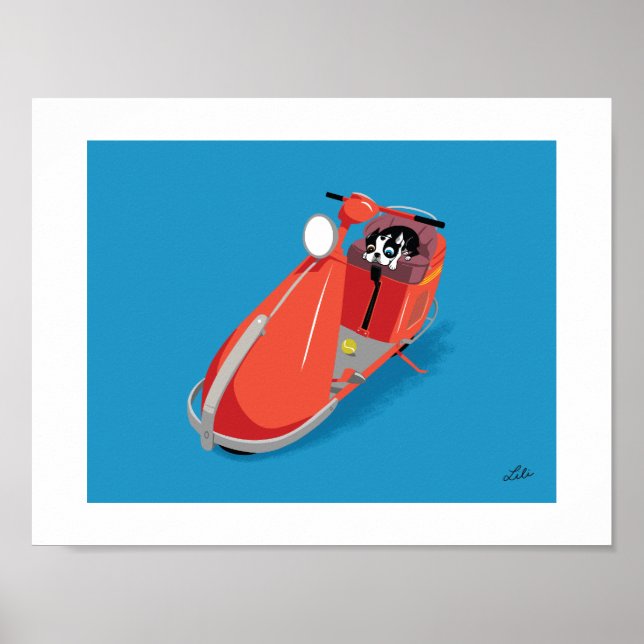 Boogie über Salisbury Poster (Vorne)