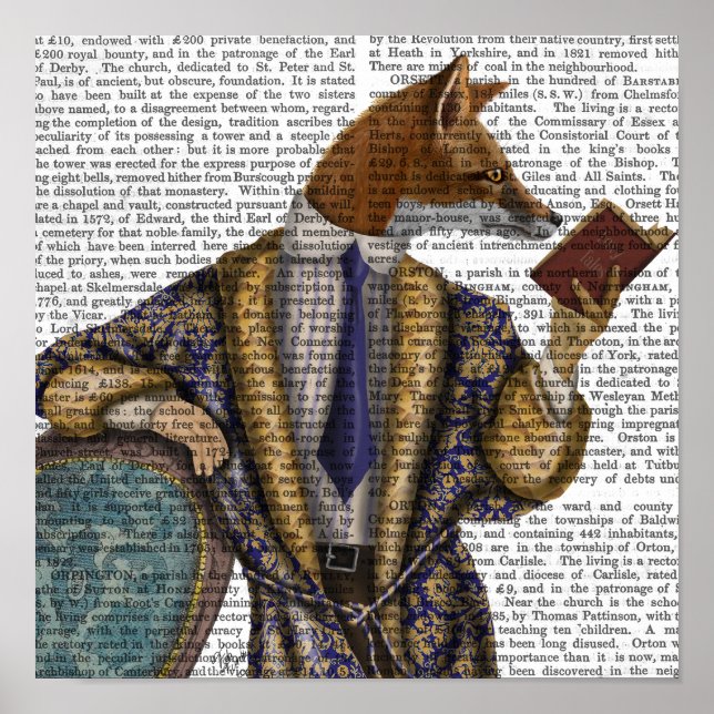 Book Reader Fox Poster (Vorne)