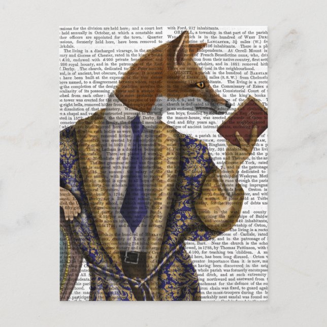 Book Reader Fox Postkarte (Vorderseite)