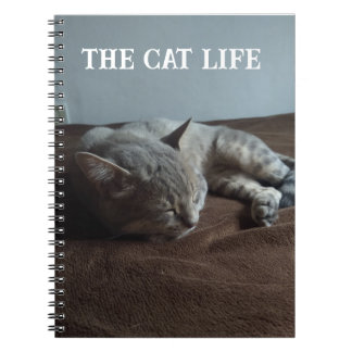 Book the Cat life Notizblock