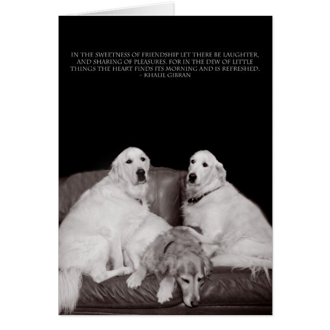 Bookends Gibran Poster (Vorne)