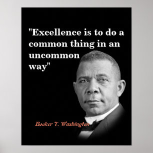 Booker T. Washington Zitat über Exzellenz Poster