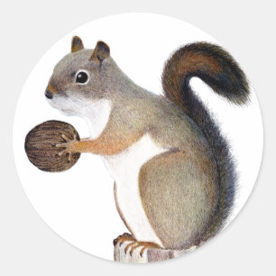 Boomer Squirrel Runder Aufkleber