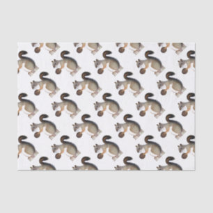 Boomer Squirrel Seidenpapier