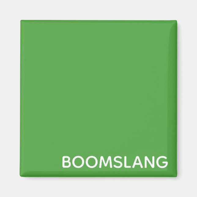 Boomslang grüne Farbe Magnet (Vorne)