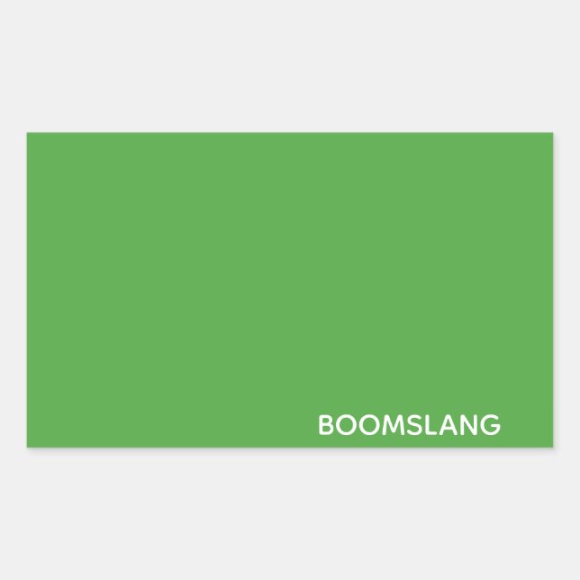 Boomslang grüne Farbe Rechteckiger Aufkleber (Vorderseite)