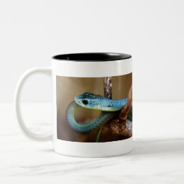 Boomslang Zweifarbige Tasse