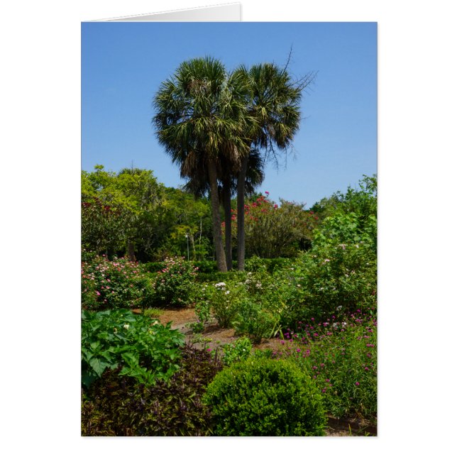 Boone Hall Garden (Vorne)