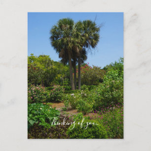 Boone Hall Garden Denken Sie an Sie Postcard Postkarte