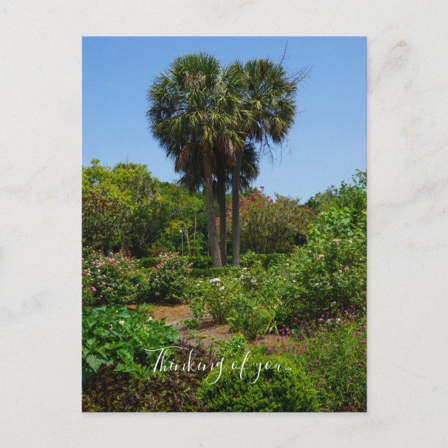 Boone Hall Garden Denken Sie an Sie Postcard Postkarte (Vorderseite)