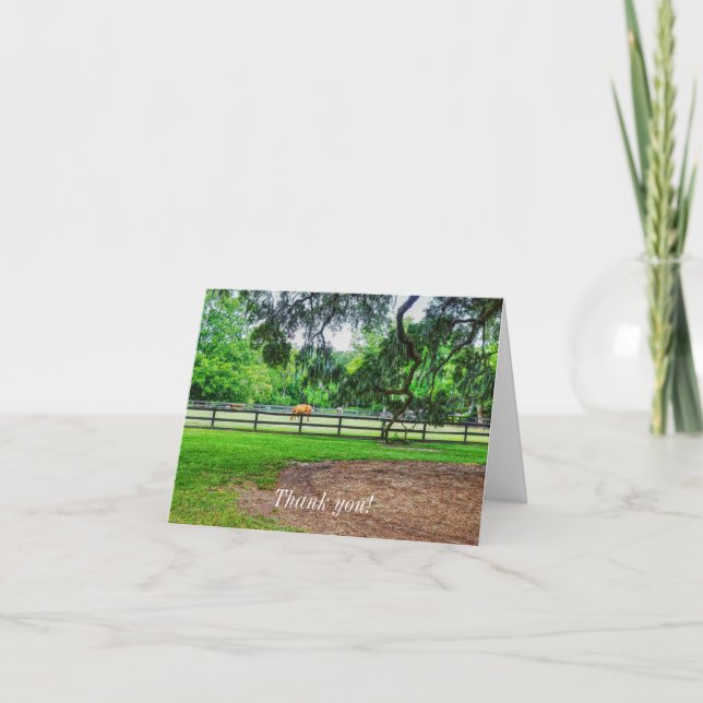 Boone Hall Stables Dankeschön Card Dankeskarte (Vorderseite)