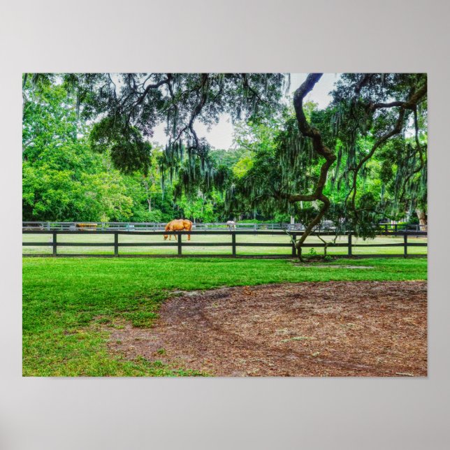 Boone Hall Stables Poster (Vorne)