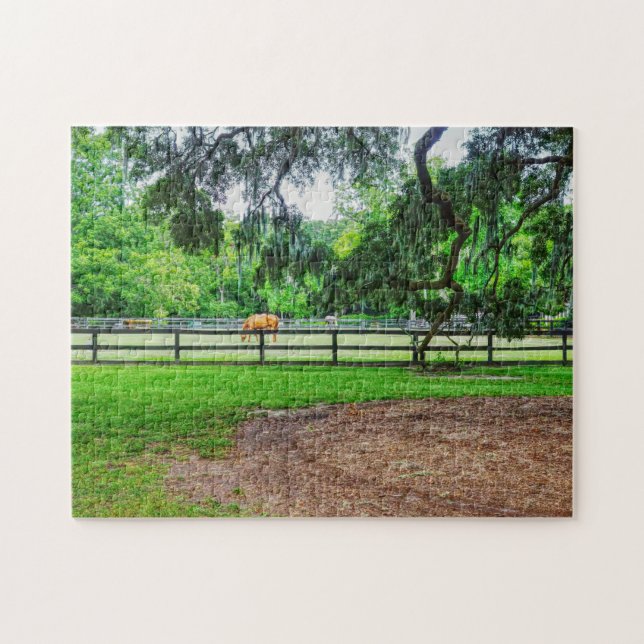Boone Hall Stables Puzzle (Horizontal)