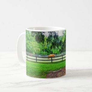 Boone Hall Stables Tasse