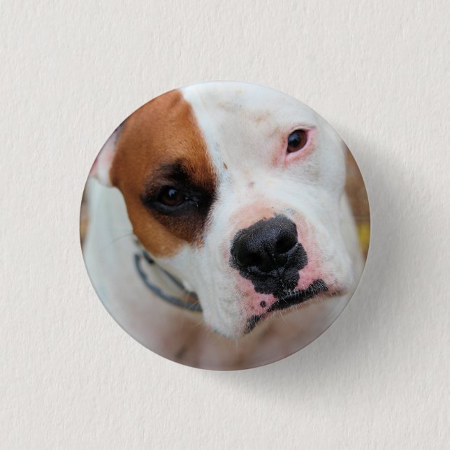 Boop Button (Vorderseite)