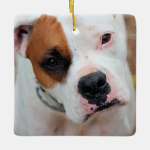 Boop Keramikornament