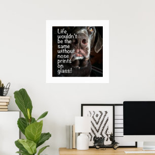 Boop My Nose Chocolate Labrador Nah-Up Fotograf Poster