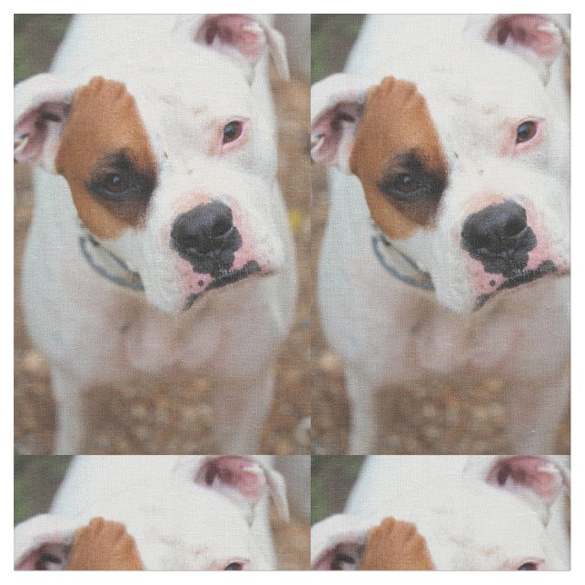 Boop Stoff (Nahaufnahme)