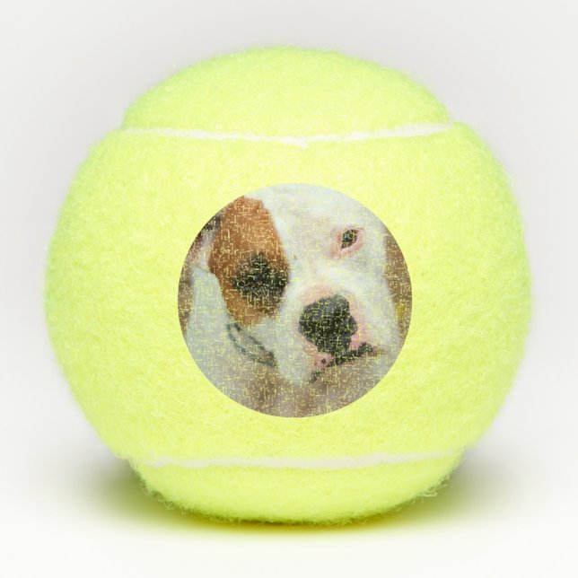 Boop Tennisbälle (Vorderseite)