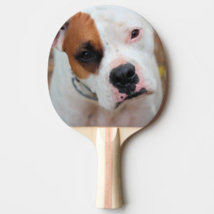 Boop Tischtennis Schläger